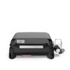 Weber Slate GP 43