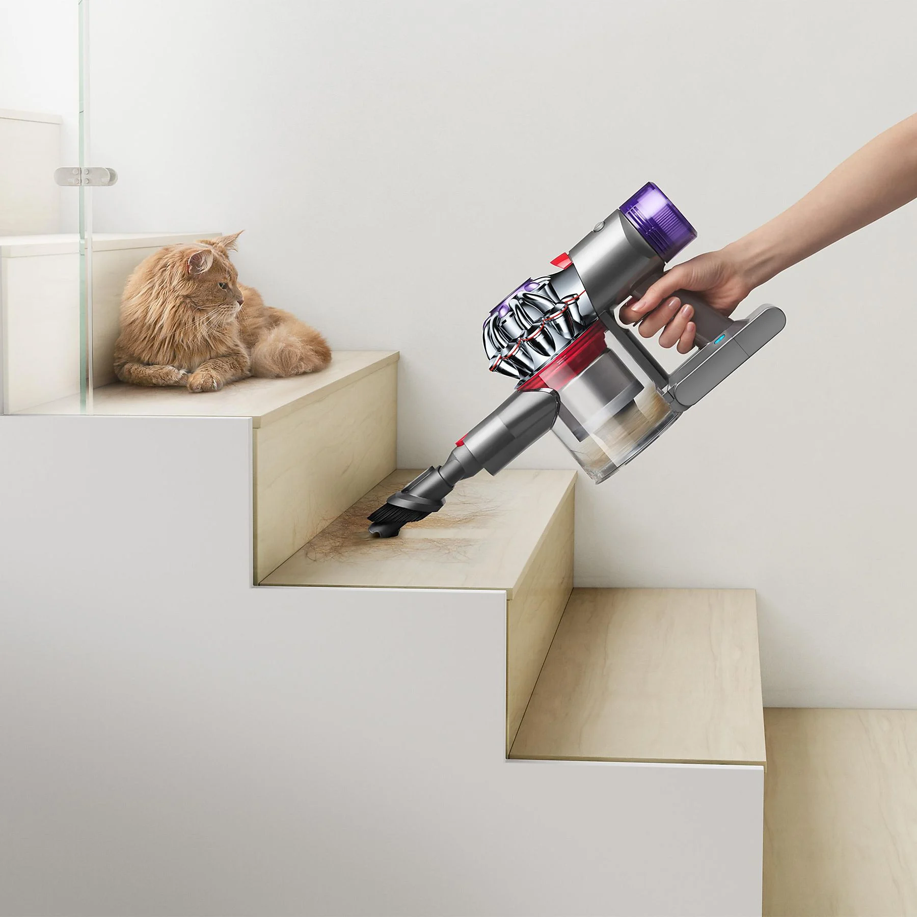 DYSON V8 Extra (2022) Stielsauger, Akkubetrieb, 425 Watt – Bild 3