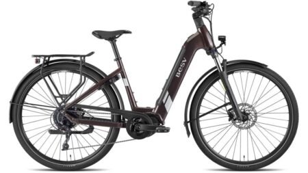 BESV TR 1.3 LS Trekking E-Bike 2025 Metallic umbra