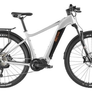 BESV TRX Urban 1.1 720 Wh 29 Zoll Diamant