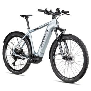 Axess Force Pro Allroad 29" E-Mountainbike 2025 misty silver matt/black/sky