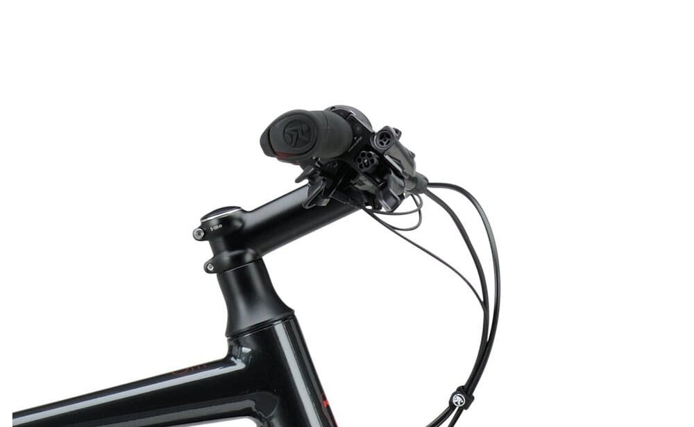 Koga Pace S20 500 Wh 28 Zoll Diamant – Bild 7