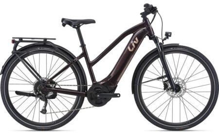 Liv Amiti-E+ 2 RC Dash 500 Wh 28 Zoll Trapez
