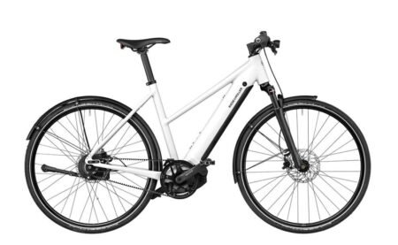 Riese und Müller Roadster4 Mixte vario 625 Wh 28 Zoll Trapez