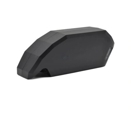 Bosch PowerPack 700 Performance Active Rahmen von E-Bike Vision