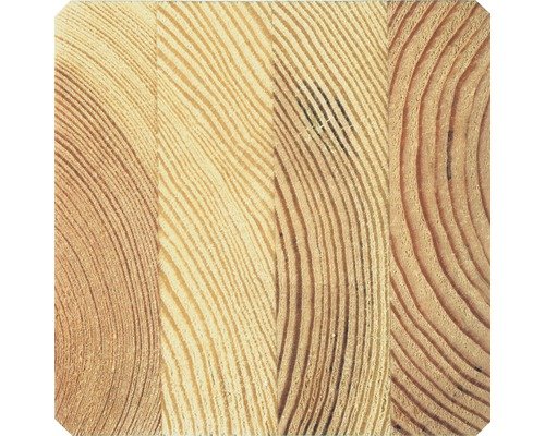 Konsta Brettschichtholz 4000 x 240 x 200 mm Fichte SI (sichtbarer Einbau) – Bild 3